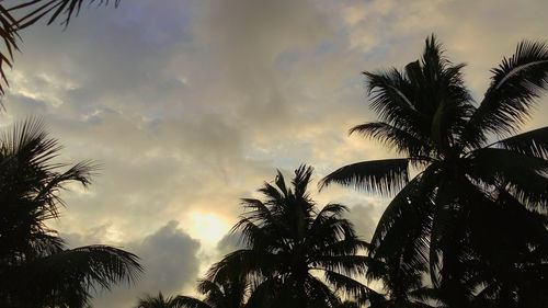 Low angle view of silhouette palm trees against sky