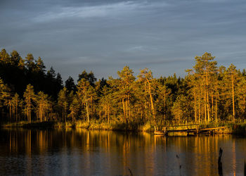 Scenic view of lake in forest against sky