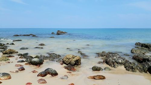 Scenic view of beach on sunny day