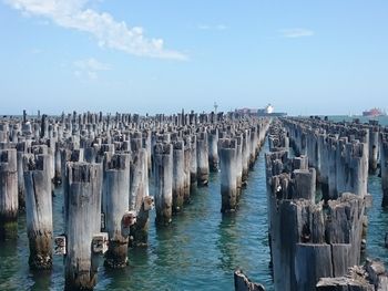 Panoramic view of birds on sea against sky