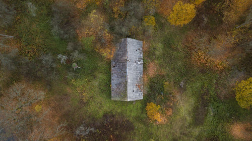 High angle view of trees by lake in forest during autumn