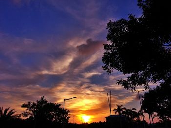 Silhouette of trees at sunset