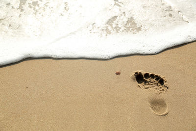 High angle view of footprints on sand at beach