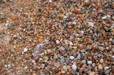 Full frame shot of pebbles on beach