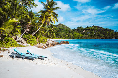 Scenic view of beach against blue sky