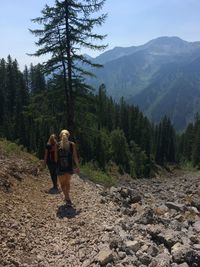 Rear view of friends standing on mountain in forest