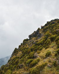 Low angle view of mountain against sky