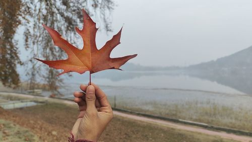 Winter season in kashmir, chinar leaf with lake view