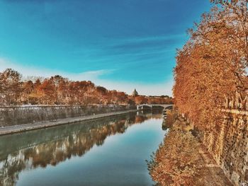 Reflection of trees in water