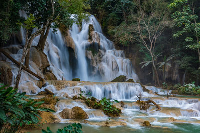 Scenic view of waterfall in forest