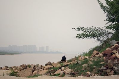 Scenic view of rocks and trees against clear sky