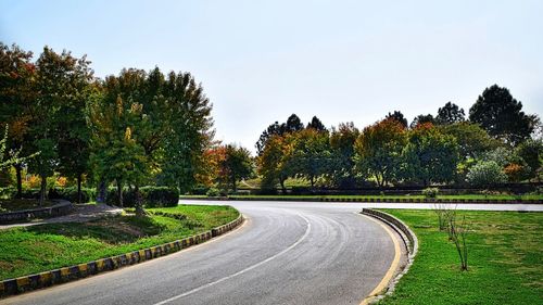 Empty road along trees