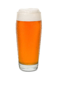 Close-up of beer glass against white background