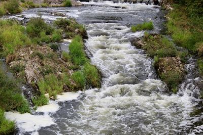 High angle view of waterfall in forest