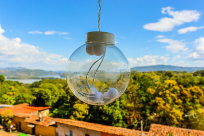 Close-up of glass hanging from tree against sky