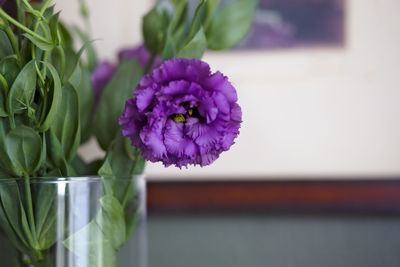 Close-up of purple flower vase on table