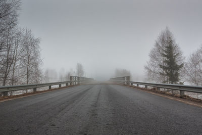 Road along trees