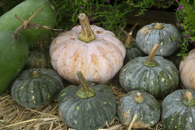 Full frame shot of pumpkin