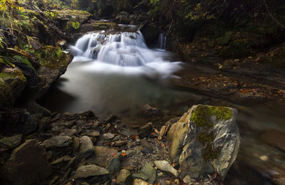 Scenic view of waterfall in forest in rodnei mountains 