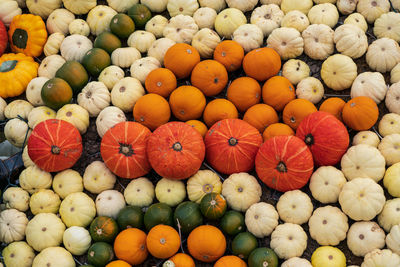 High angle view of pumpkins in market