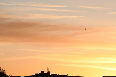 Low angle view of silhouette bird against sky during sunrise 