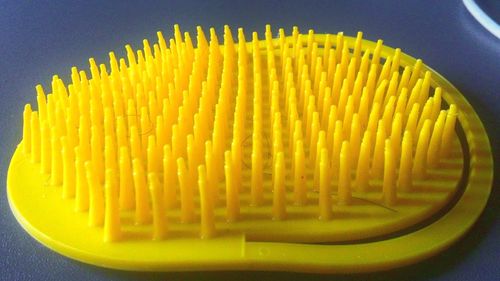 Close-up of served food on plate