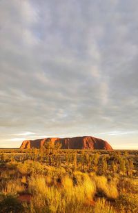 Scenic view of landscape against sky