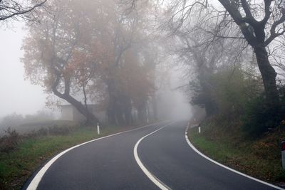 Empty road amidst bare trees