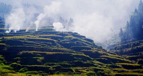 Scenic view of landscape against sky