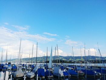 Sailboats moored in harbor