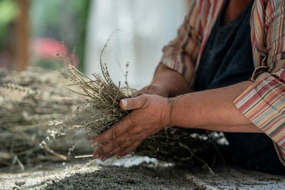 Midsection of woman holding plant