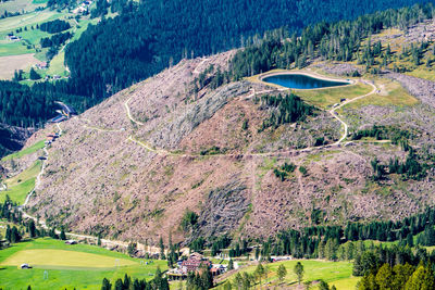 High angle view of trees on landscape