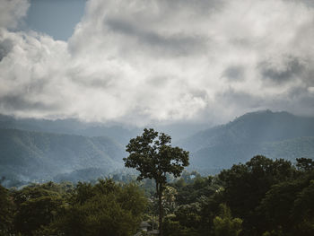 Scenic view of tree mountains against sky