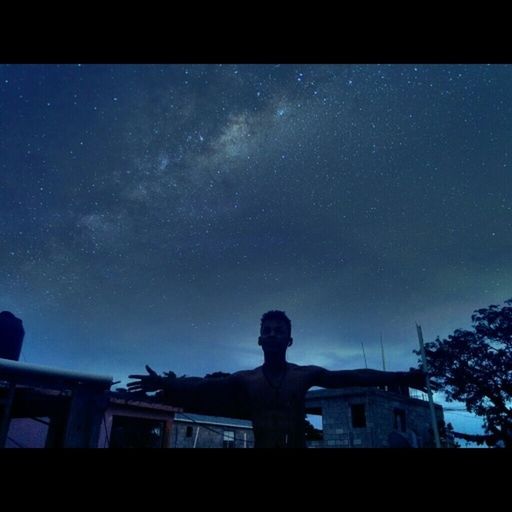 low angle view, building exterior, architecture, built structure, sky, night, silhouette, transfer print, auto post production filter, dark, blue, dusk, high section, tree, outdoors, copy space, building, house, no people, clear sky