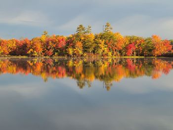 reflection