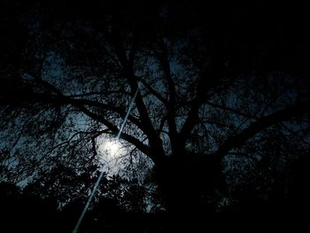 Low angle view of silhouette tree against sky at night