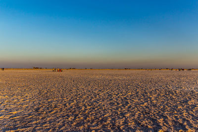 Scenic view of beach against clear sky