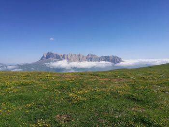 Scenic view of field against blue sky