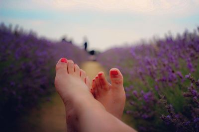 Low section of woman amidst purple flower