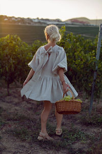 Woman with a wicker basket of green grapes stands in her vineyard at sunset
