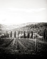 View of landscape against the sky