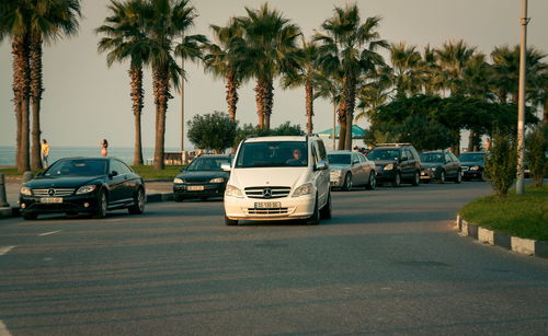 Cars on road by palm trees against sky