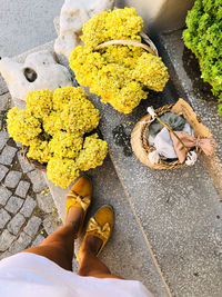 Low section of woman standing on yellow floor