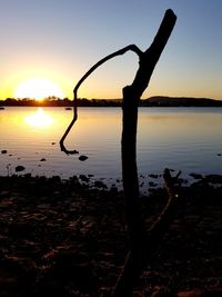 Silhouette tree on lake against sky during sunset