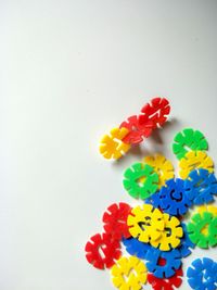 High angle view of multi colored flowers on table