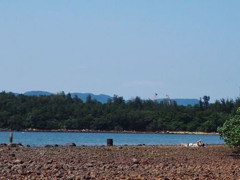 Scenic view of beach against clear sky