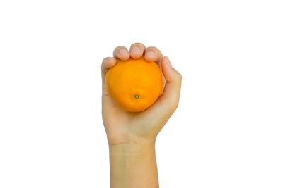 Close-up of hand holding fruit against white background