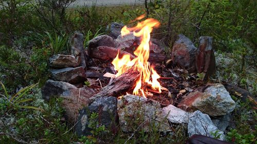 Close-up of bonfire