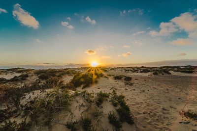 Scenic view of beach against sky during sunset