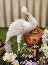 Close-up of white flowers